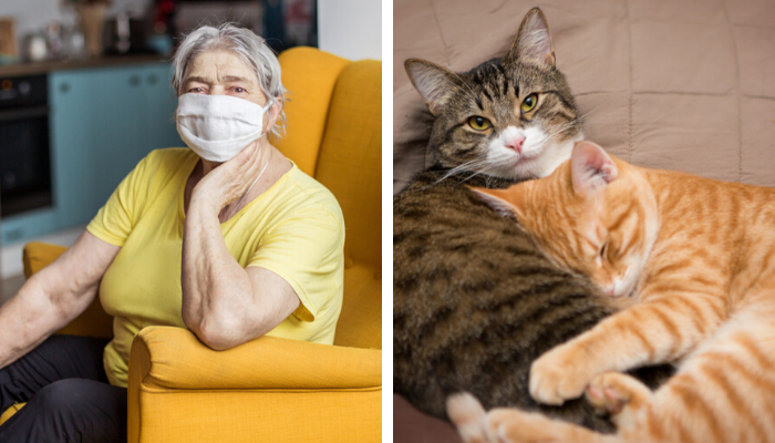 Keeping Mom, the Cats & the Caregivers Safe During COVID-19: A Long-Term Care Insurance Story